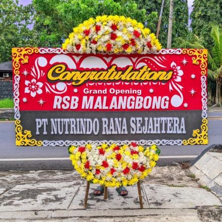 Toko Karangan Bunga Selamat dan Sukses di Ciamis, Pilihan Tepat untuk Berbagai Pencapaian